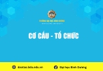 CƠ CẤU   TỔ CHỨC